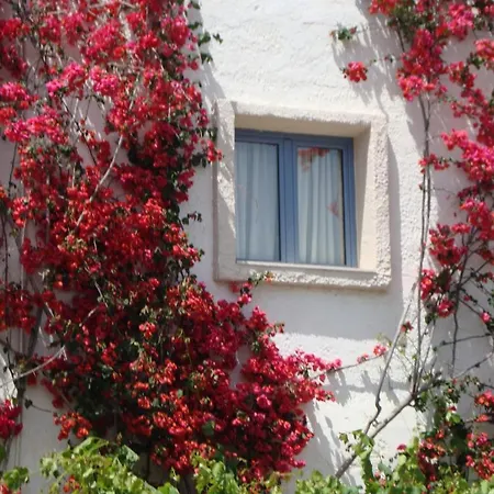 Apartment Nikolas Amoudara (Heraklion)