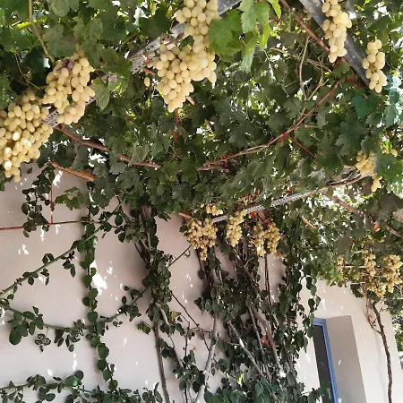 Apartment Nikolas Amoudara (Heraklion)